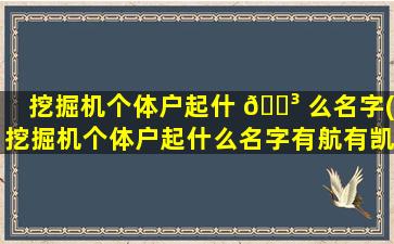 挖掘机个体户起什 🐳 么名字(挖掘机个体户起什么名字有航有凯的名字)